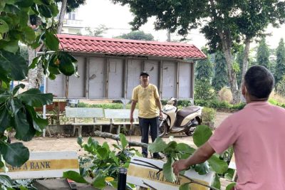 Sáng ngày mùng 2/8/2025, để chuẩn bị cho năm học mới 2025-2026, tập thể CB, GV, NV nhà trường đã tiến hành tổng vệ sinh sân trường, cắt tỉa cây xanh.